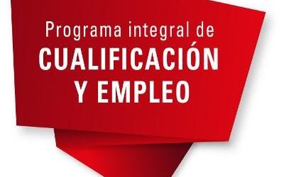 Ayudas a la contratación, PICE